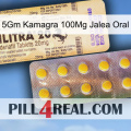 5Gm Kamagra 100Mg Oral Jelly new06